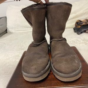 Womens Size 7 Chocolate Classic Short UGG boots